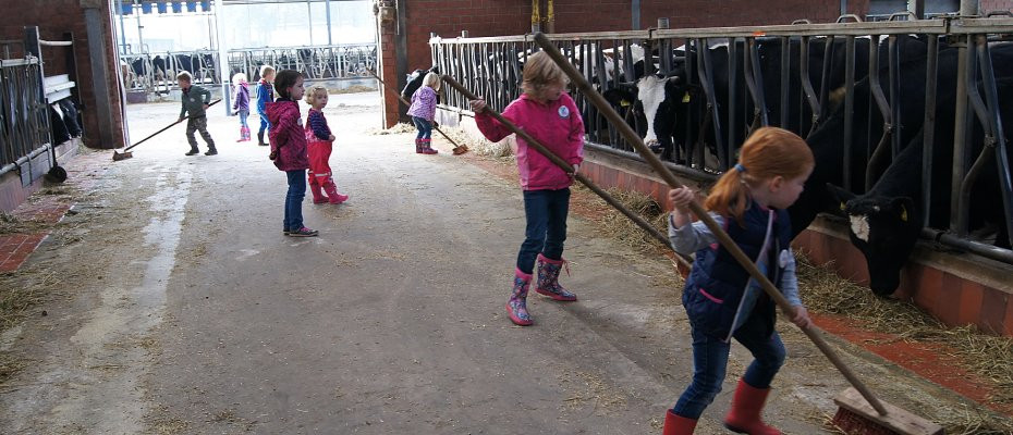 Stallarbeit live