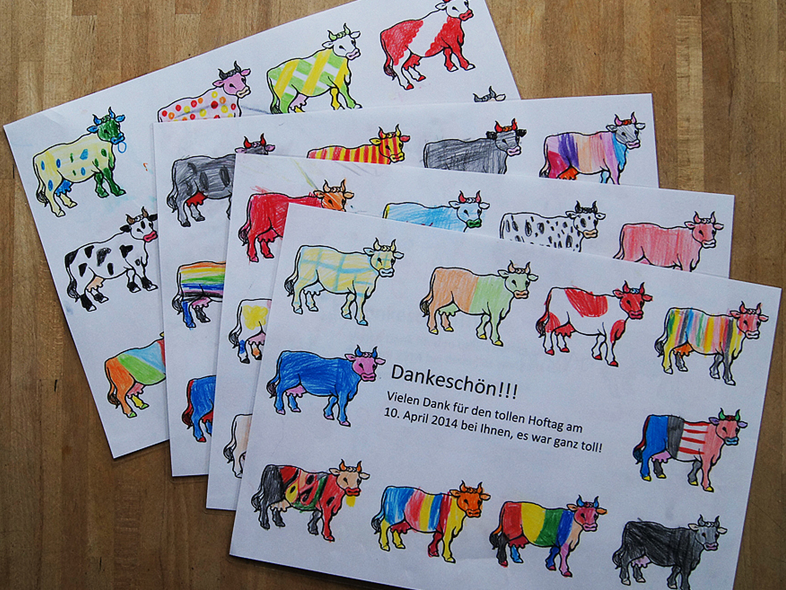 Tolles Dankesch&ouml;n. Foto: &copy; Silke Bengfort