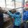 Blick in den Kuhstall