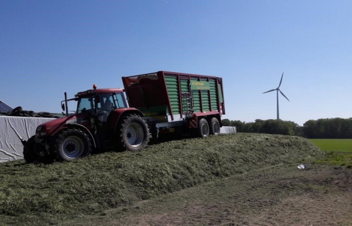 Der Ladewagen lädt das Gras am Silagehaufen ab