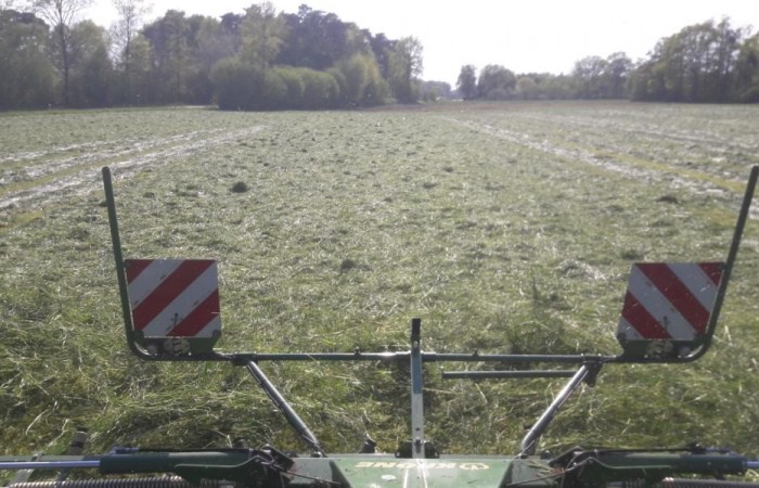 Breit verteiltes Gras vor dem Schwaden
